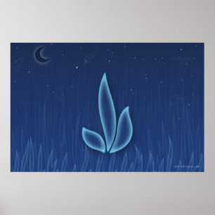 Night flower poster