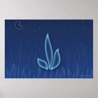 Night flower poster
