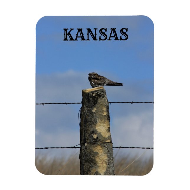 Night Hawk Sleeping on a Stone Post Magnet (Vertical)