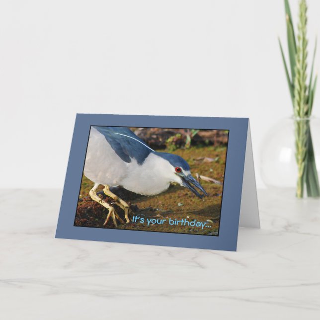 Night Heron Birthday Card (Front)