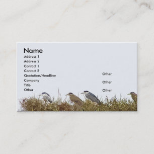 Night Heron Business Card