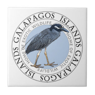 Night Heron Galapagos Islands Tile