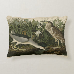 Night Heron, Qua Bird, Audubon's Birds of America Accent Pillow