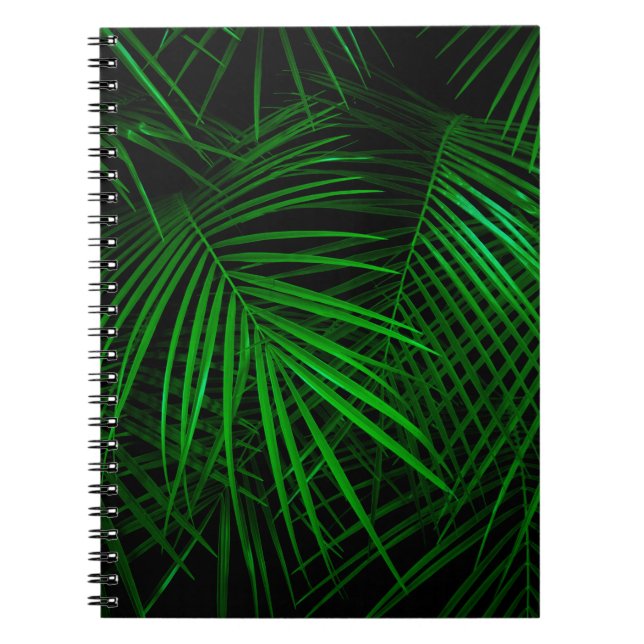 Night in tropical rainforest. Palm leaves lit with Notebook (Front)