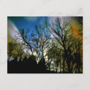 Night Light Postcard
