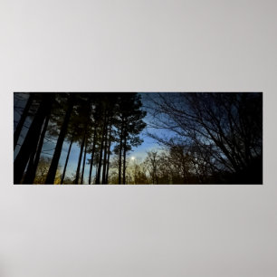 Night Light, Poster