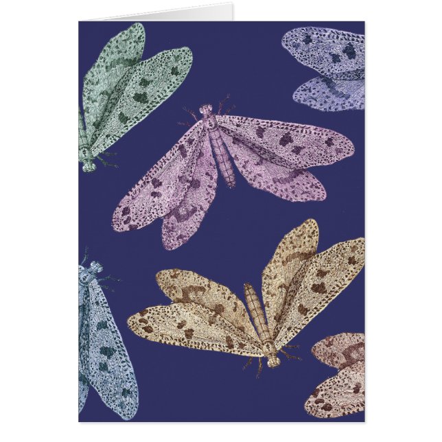 Night Moths in Flight from Diderot's Encylopedia (Front)