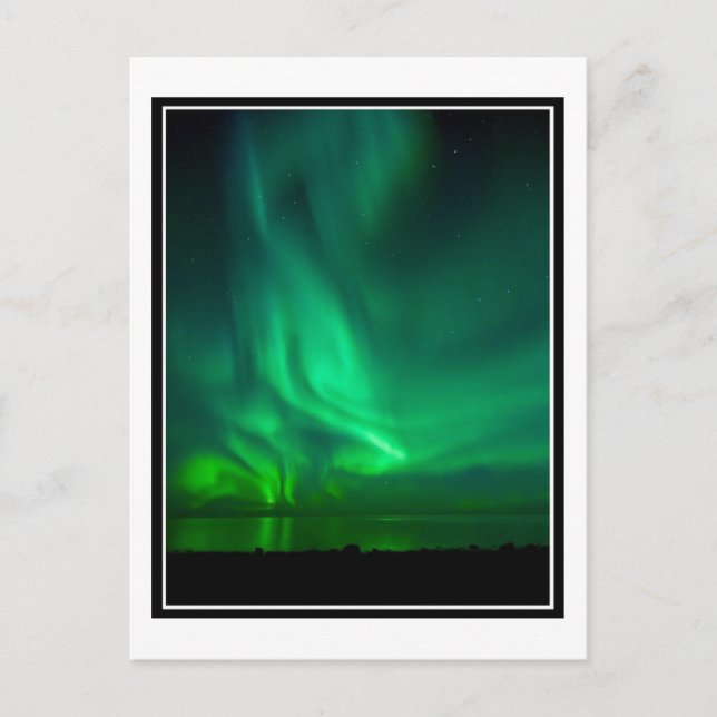 NIGHT OF AURORAS POSTCARD (Front)