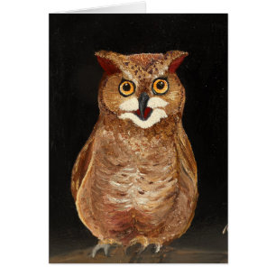 Night Owl