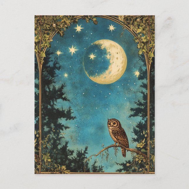 NIGHT OWL FULL MOON AND STARRY NIGHT HOLIDAY POSTCARD (Front)