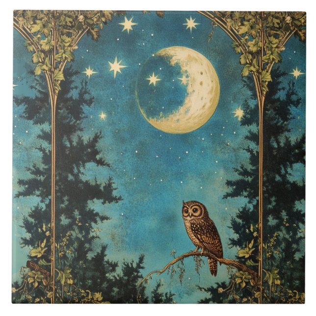 NIGHT OWL FULL MOON AND STARRY NIGHT TILE (Front)