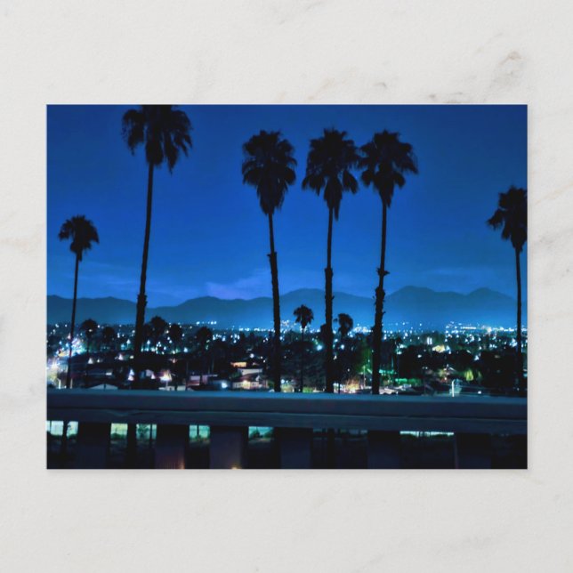 NIGHT PALMS POSTCARD (Front)