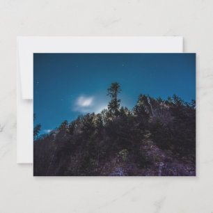 Night Sky above Forest at Clingman's Dome Postcard