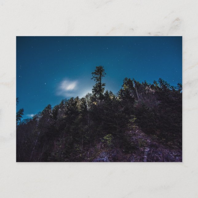 Night Sky above Forest at Clingman's Dome Postcard (Front)