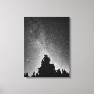 Night Sky Canvas Print