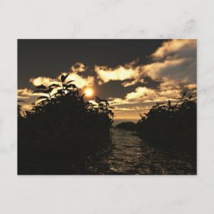 Night Sky Postcard