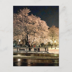 Night Snowstorm Salem Common Massachusetts Photo Postcard
