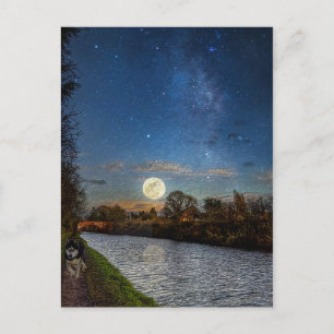 Night Time Prowl Postcard