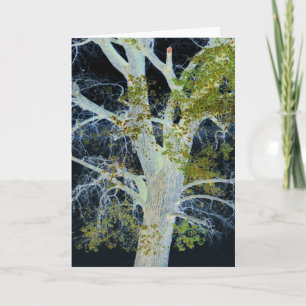 "Night Tree" Digitally altered image of Tree & Sky Card