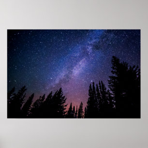 Night Trees and Stars Artwork   Poster