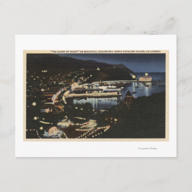 Night View of Avalon Bay Postcard (Front)