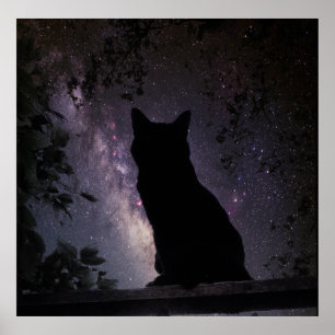 Night Watch Poster