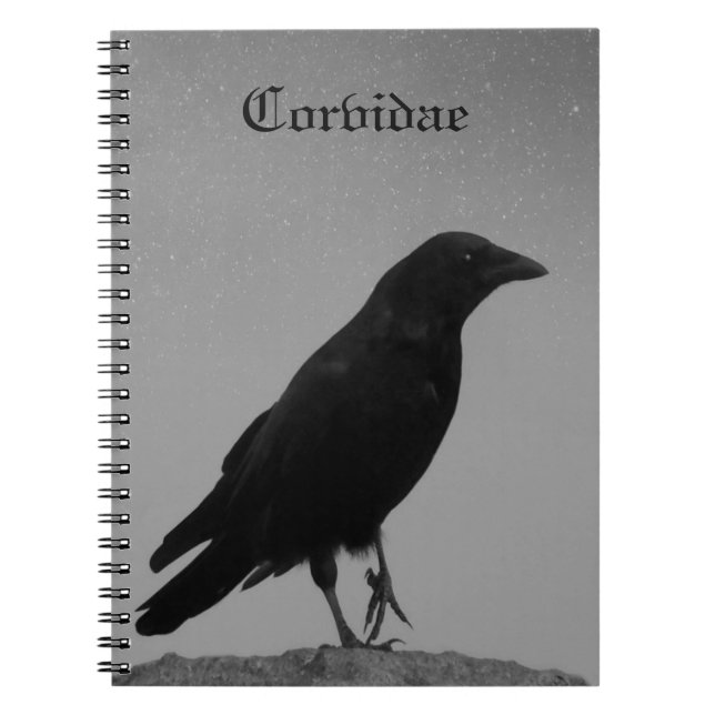 Night With Corvidae  Notebook (Front)