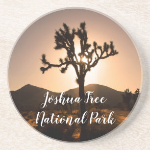Nightfall begins at Joshua Tree Coaster