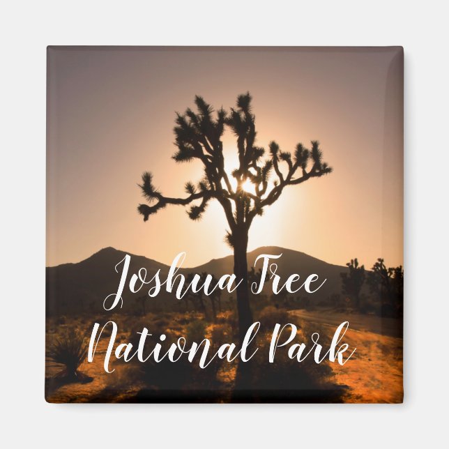 Nightfall begins at Joshua Tree Magnet (Front)