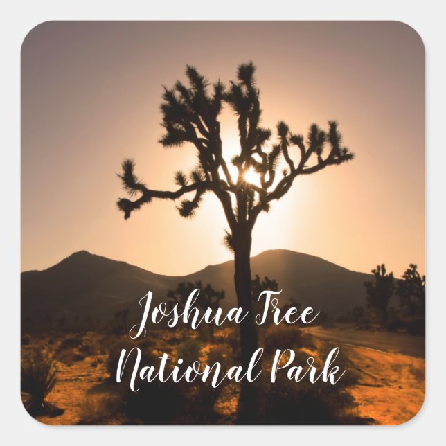 Nightfall begins at Joshua Tree  Square Sticker (Front)
