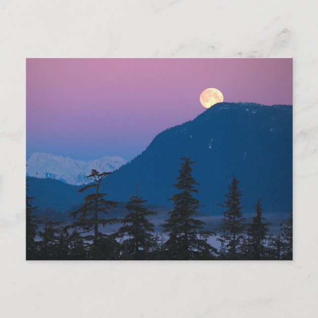 Nightfall in Alaska Postcard (Front)