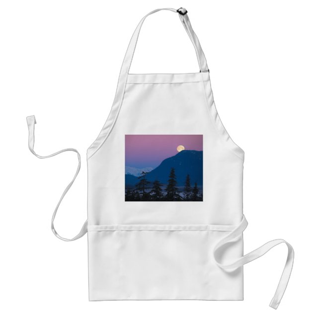 Nightfall in Alaska Standard Apron (Front)