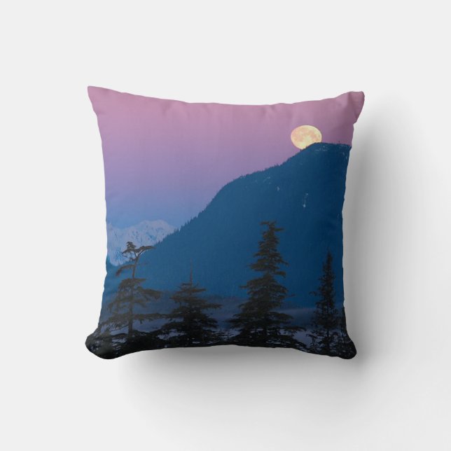 Nightfall in Alaska Throw Pillow (Front)