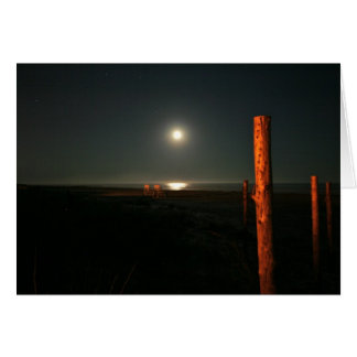 Nightguards--Beach at Night