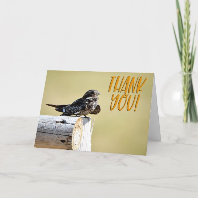 Nighthawk Photo Thank You Card (Front)