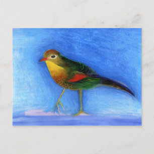 Nightingale Light 2012 Postcard