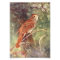 Nightingale Singing