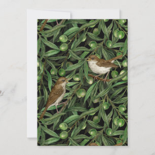 Nightingales in the olive tree 3