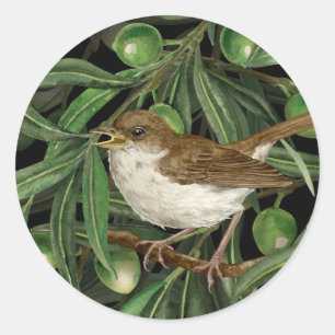 Nightingales in the olive tree 3 classic round sticker