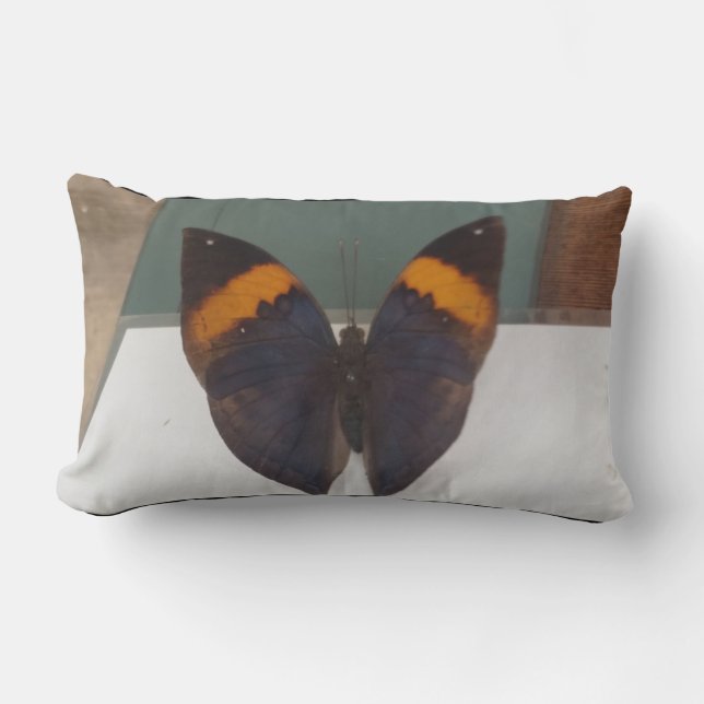 nighttime butterfly lumbar pillow (Front)