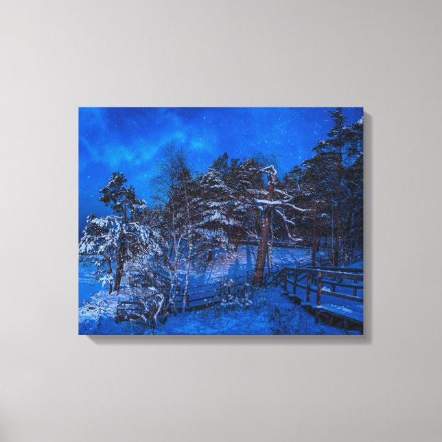 Nighttime winter scene with snow covered pines canvas print (Front)