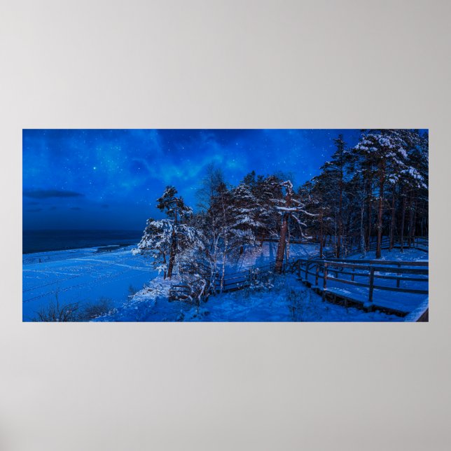 Nighttime winter scene with snow covered pines poster (Front)