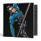 Nightwing with rope