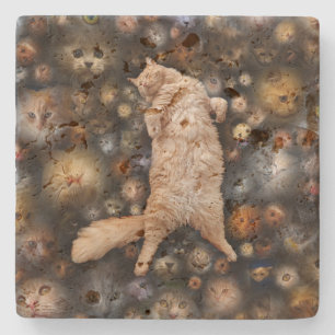 Nighty Nighty Kitty Cat, Stone Coaster