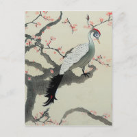 Nihonga Japan Traditional Bird Cherry Blossom
