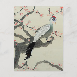 Nihonga Japan Traditional Bird Cherry Blossom Postcard