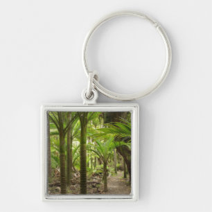 Nikau Palms, Heaphy Track, near Karamea, Keychain