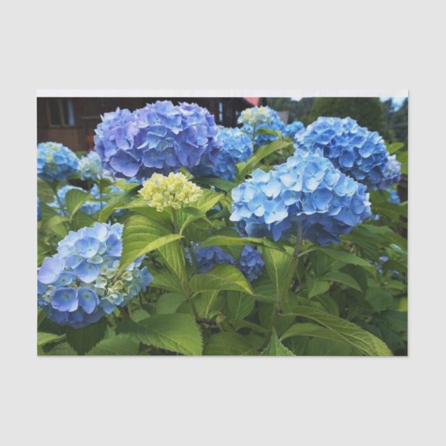 Nikko Blue Hydrangea Flower Decoupage Craft Tissue Paper (Front)