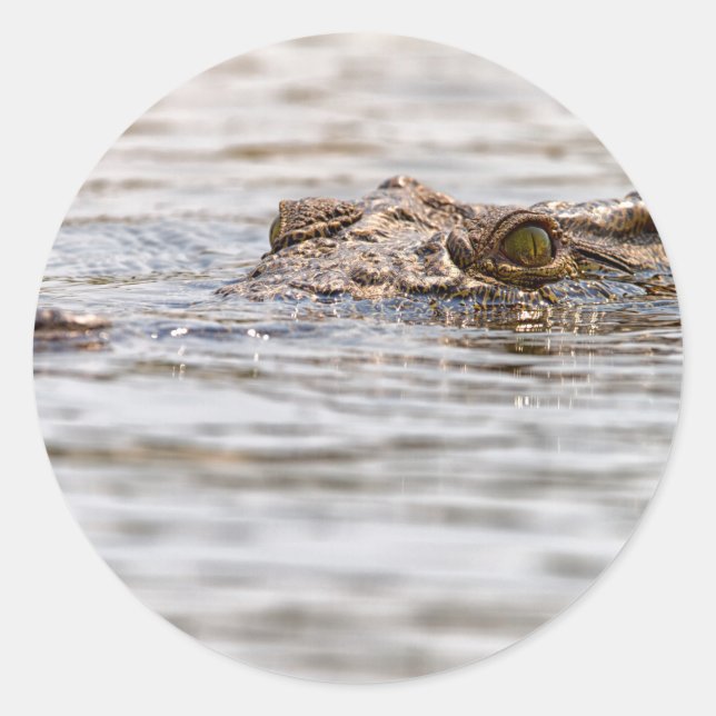 Nile Crocodile Classic Round Sticker (Front)