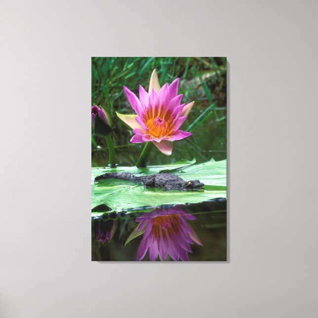 Nile Crocodile (Crocodylus Niloticus) Hatchling Canvas Print (Front)